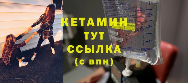 шишки Заволжье