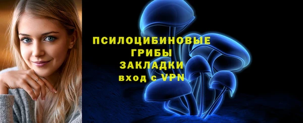 шишки Заволжье