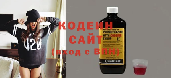 шишки Заволжье