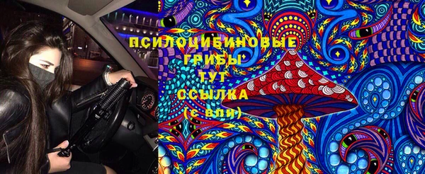mdpv Заволжск