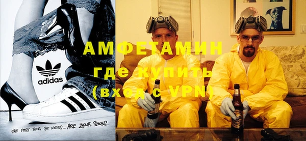 шишки Заволжье