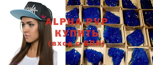 шишки Заволжье
