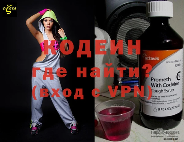 шишки Заволжье