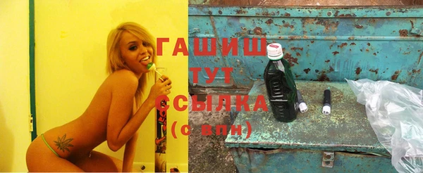 шишки Заволжье