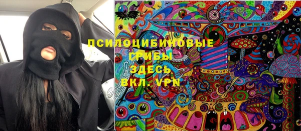 шишки Заволжье