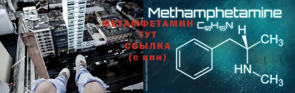 шишки Заволжье