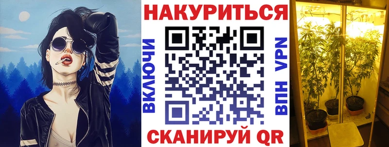 наркошоп  Котовск  Конопля план 